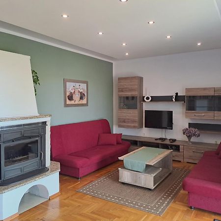 Apartment Kriskovic نوفي فينودولسكي المظهر الخارجي الصورة