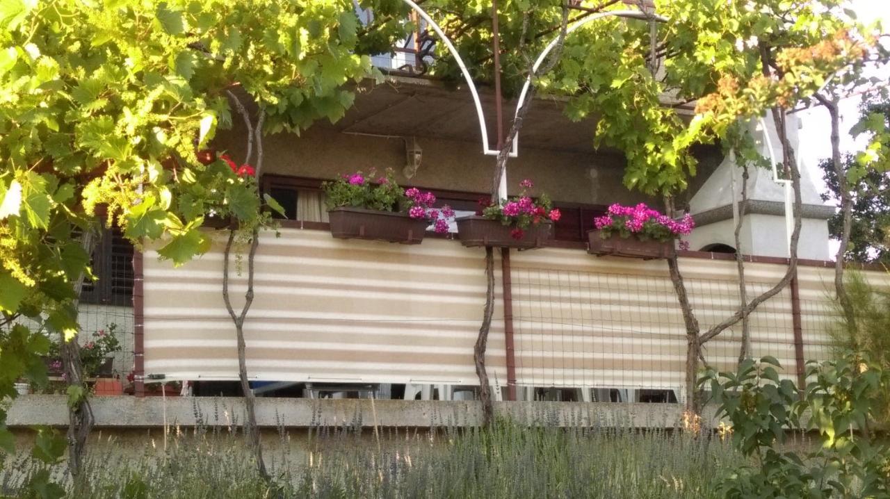 Apartment Kriskovic نوفي فينودولسكي المظهر الخارجي الصورة