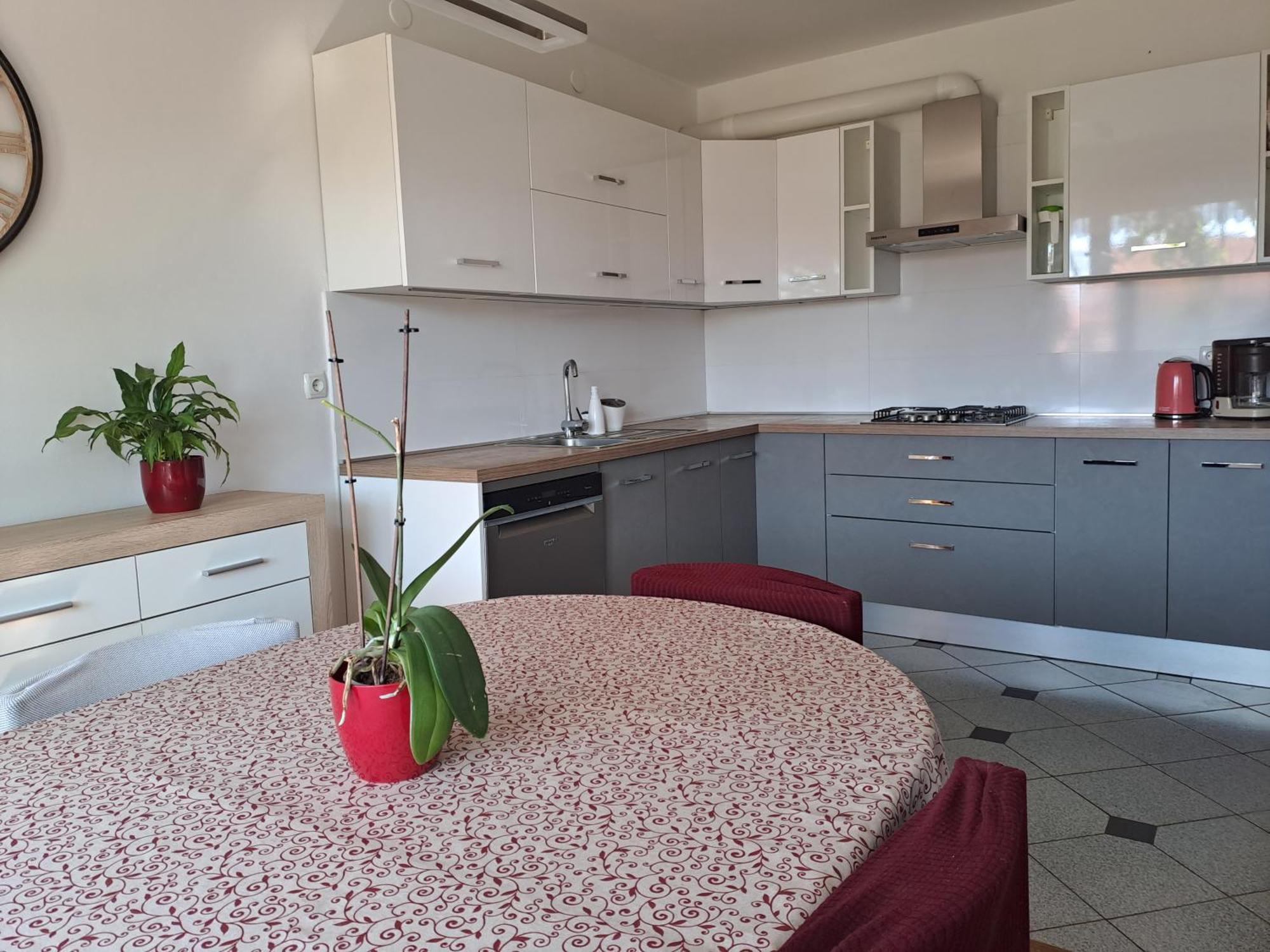 Apartment Kriskovic نوفي فينودولسكي المظهر الخارجي الصورة